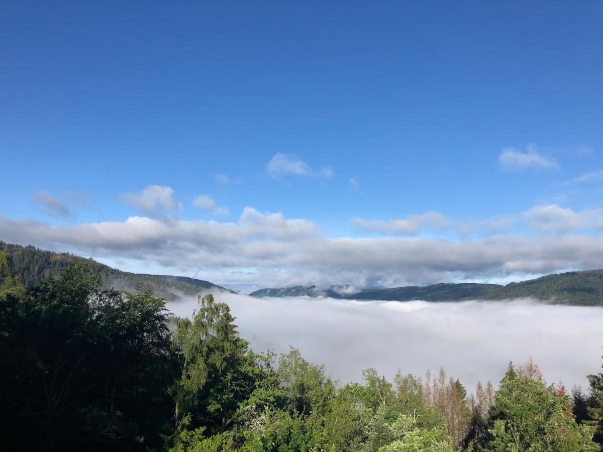 Le Gite Cozy De Bouvacote Avec Vue Panoramique Et Sauna Le Tholy Ngoại thất bức ảnh