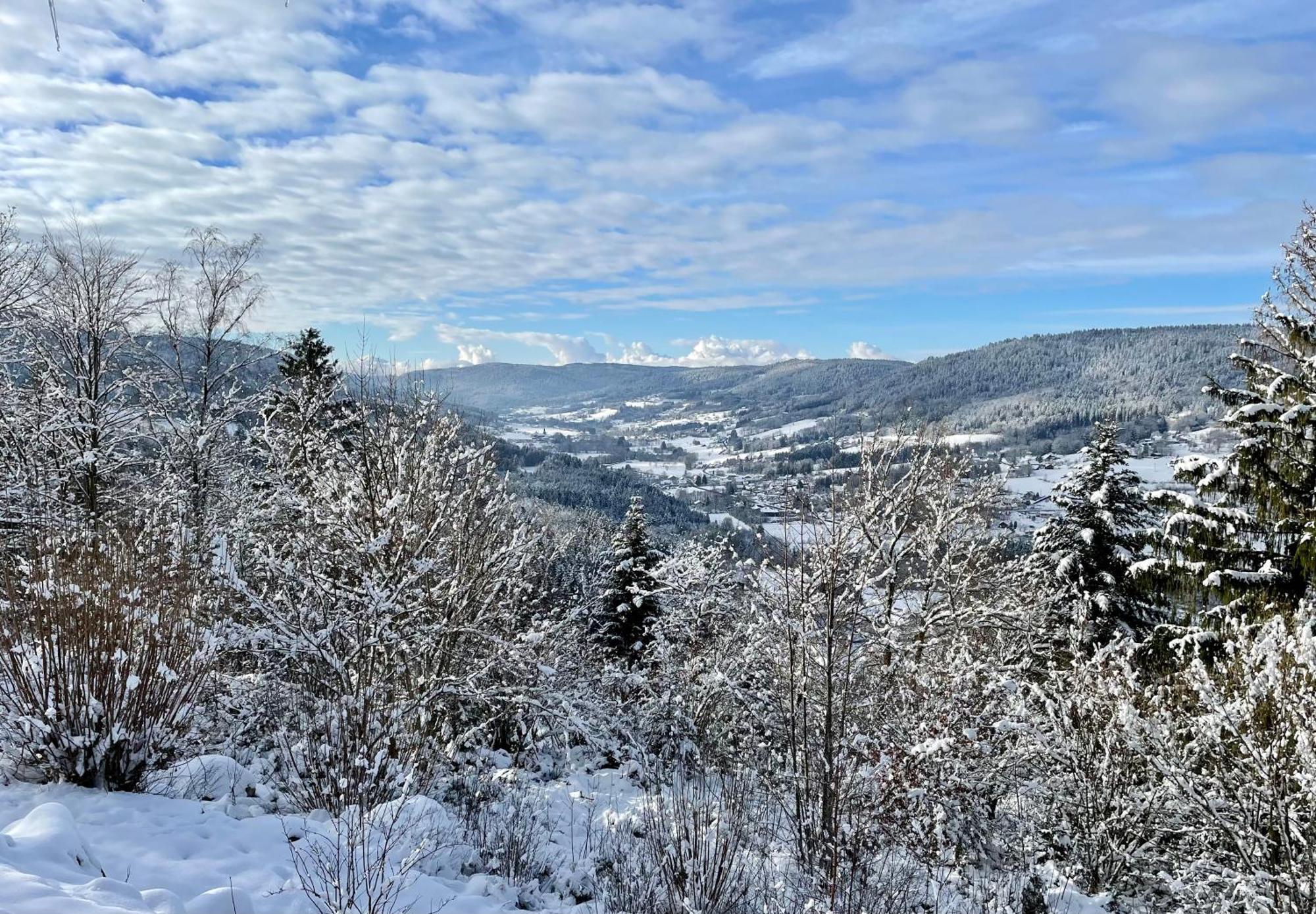 Le Gite Cozy De Bouvacote Avec Vue Panoramique Et Sauna Le Tholy Ngoại thất bức ảnh